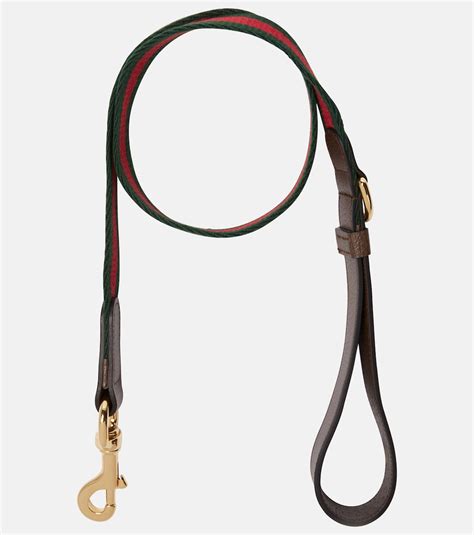 gucci leine